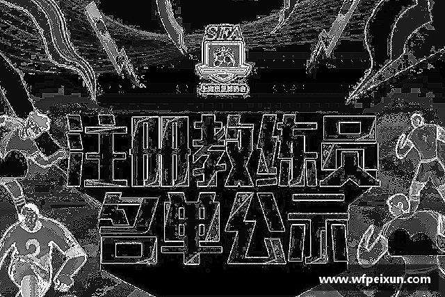 关于emc易倍